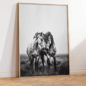 Op de afbeelding: Zwart-witfoto van twee paarden die op een veld staan ​​met hun hoofden tegen elkaar. De paarden staan ​​tegenover elkaar en hun manen wapperen in de wind.