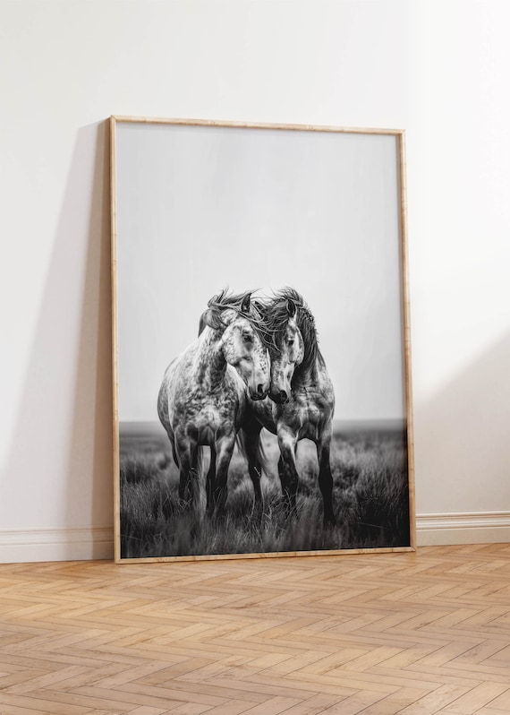Black White Horse Photo | Wild Mustang Art Print | Silver Monochrome Photography | Tack Room Gallery Wall | Stallion Horse Rider Art Gift