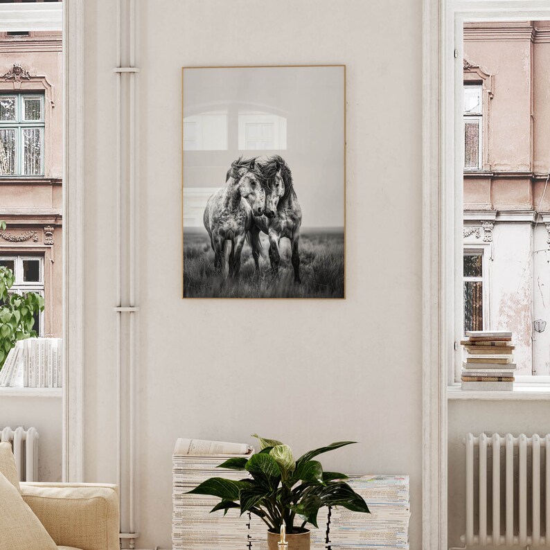 Op de afbeelding: Zwart-witfoto van twee paarden die in een weiland staan en elkaar aanraken. De paarden staan in een weiland met hoog gras.