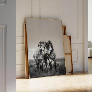 Op de afbeelding: Een zwart-witfoto van drie paarden die over een veld rennen. De paarden zijn dicht bij elkaar, met hun hoofden tegen elkaar. De foto is ingelijst in een gouden lijst.