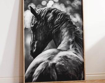 Black Stallion Photo | Horse Headshot Art Print | Black Horse Portrait | Gorgeous Horse Photograph | Black and White Monochrome Horse Art