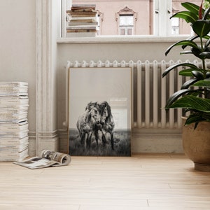 Op de afbeelding: Een zwart-witfoto van twee paarden die dicht bij elkaar in een veld staan. De paarden kijken naar de camera en hun hoofden raken elkaar. De foto is ingelijst en hangt aan een muur.