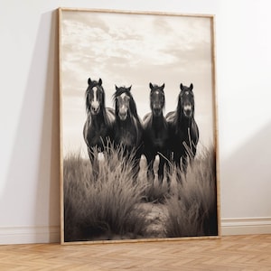 Vintage Wild Horses Photo | Mustang Art Print | Four Horses Portrait | Western Wild Mustangs 35mm Film | Wild Horses Together Old Art Print