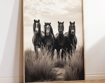 Vintage Wild Horses Photo | Mustang Art Print | Four Horses Portrait | Western Wild Mustangs 35mm Film | Wild Horses Together Old Art Print