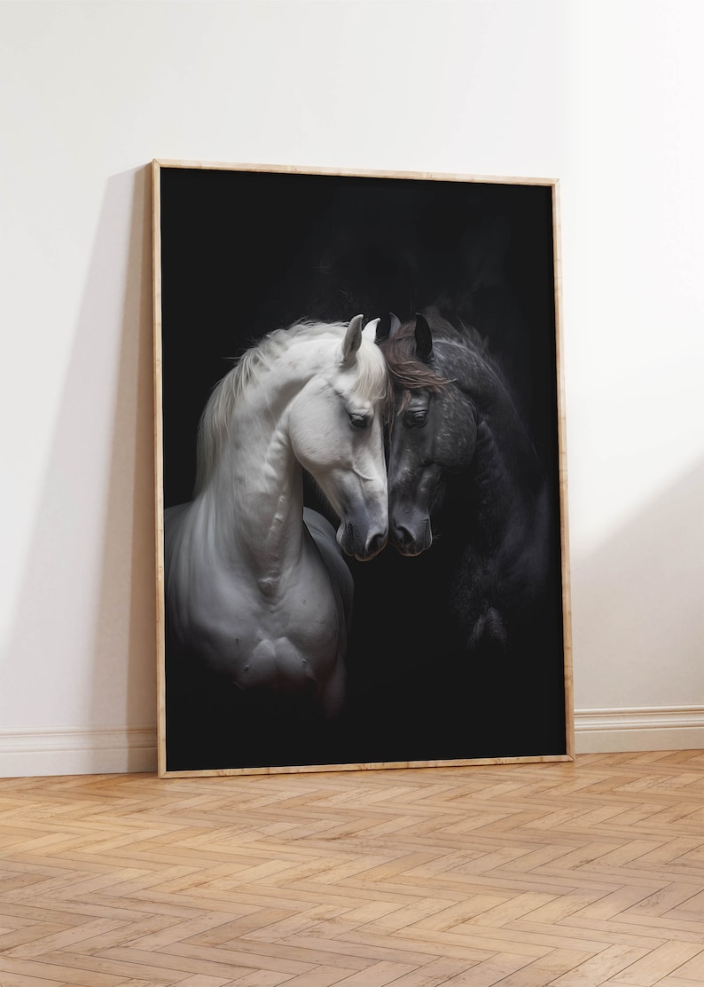 Black and White Stallions Photo | Two Horses Headshot Art Print ...