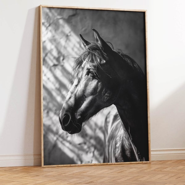 Black Stallion Photo | Black and White Horse Art Print | Horse Portrait | Horse Photograph | Large Scale Horse Art | High Contrast Lighting