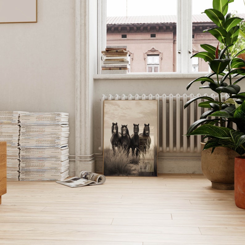 May include: A framed black and white photograph of four black horses standing in a field. The horses are facing the camera and have their heads held high. The photograph is set against a white wall with a radiator and a window behind it.