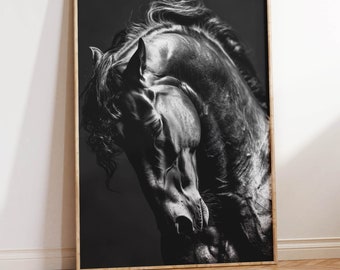 Black Stallion Photo | Horse Headshot Art Print | Black Horse Portrait | Gorgeous Horse Photograph | Black and White Monochrome Horse Art