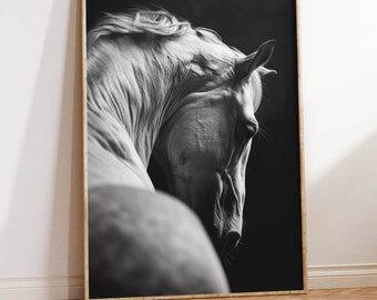 weißes Hengstfoto | Pferd Kopfbild Kunstdruck | weißes Pferd Portrait | Wunderschöne Pferdefotografie | Monochrome Pferdeschwarzweißkunst