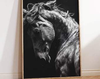 Black Stallion Photo | Horse Headshot Art Print | Black Horse Portrait | Gorgeous Horse Photograph | Black and White Monochrome Horse Art
