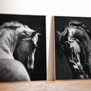 May include: Two black and white photographs of horses' heads. The horse on the left is white and the horse on the right is black. Both horses are looking down and their manes are flowing.