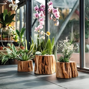 Rustic Wooden Tree Stump Planter Various Sizes For Indoor And Outdoor Plant Display by Giorina