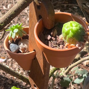 Customizable Wood Hanging Plant Holders