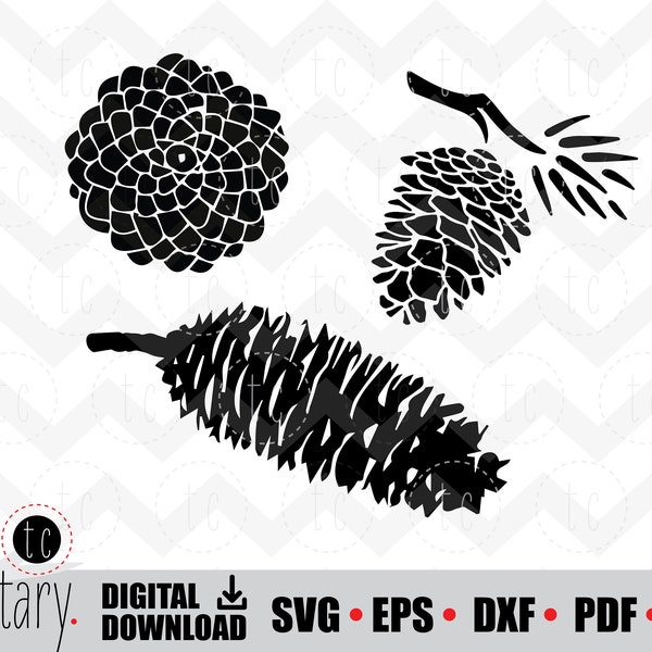 Pinecones | Pine Cones | Conifer | Evergreen | Fall Pine Tree | svg • eps • dxf • pdf • png