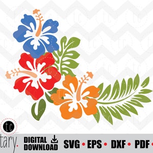 Hibiscus Hibiscas | Flowers Plant | Hawaii | Tropical | svg • eps • dxf • pdf • png