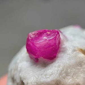 May include: Close-up of a vibrant, faceted, hot pink ruby crystal. The gemstone is set in a matrix of white and light green minerals. The ruby's surface has a slightly rough texture, and the lighting highlights its crystalline structure.