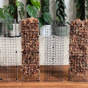 May include: Four black wire mesh plant supports, two filled with brown sphagnum moss, sit on a wooden surface. The supports are rectangular and designed to help climbing plants grow vertically. Green plants are visible in the background.