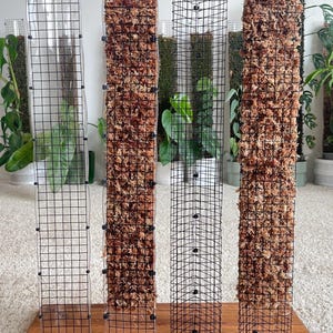 May include: Four black wire mesh plant supports. Two are filled with brown sphagnum moss, one is empty, and one has a clear plastic liner. The supports are rectangular and stand on a wooden surface.