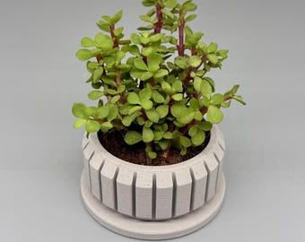 Gus | Indoor Planter with Drip Tray | Succulent, Cactus or Flower | Home or Office Decor | Gift for Plant Lover | Original Design