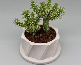 Wilson | Indoor Planter with Drip Tray | Succulent, Cactus or Flower | Home or Office Decor | Gift for Plant Lover | Original Design
