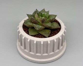 Fred | Indoor Planter with Drip Tray | Succulent, Cactus or Flower | Home or Office Decor | Gift for Plant Lover | Original Design