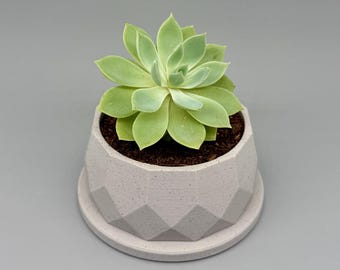 Norm | Indoor Planter with Drip Tray | Succulent, Cactus or Flower | Home or Office Decor | Gift for Plant Lover | Original Design
