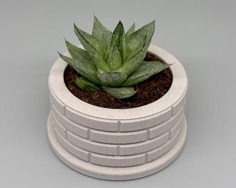 Frank | Indoor Planter with Drip Tray | Succulent, Cactus or Flower | Home or Office Decor | Gift for Plant Lover | Original Design