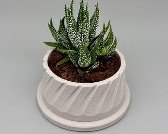 Chuck | Indoor Planter with Drip Tray | Succulent, Cactus or Flower | Home or Office Decor | Gift for Plant Lover | Original Design