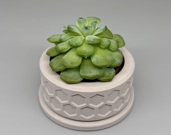 Stan | Indoor Planter with Drip Tray | Succulent, Cactus or Flower | Home or Office Decor | Gift for Plant Lover | Original Design