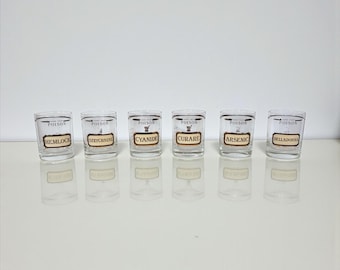 Vintage Cera Name Your Poison Glasses Set of 6 Hemlock Cyanide Arsenic Belladonna Curare Strychnine MCM Novelty Barware Rocks Glasses