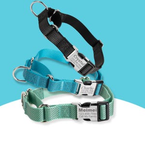 May include: Three adjustable nylon dog collars in black, bright blue, and light green. Each collar features a silver metal side-release buckle engraved with a name, phone number, and the text Call My Family, along with a metal D-ring for a leash.