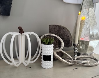 Succulent Planter Blink Mini Camera Decor Cover