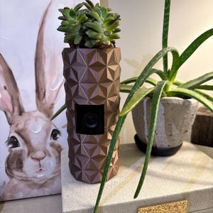 Puede incluir: Una maceta geométrica marrón con una planta suculenta. La maceta tiene una lente de cámara y se coloca sobre una caja decorativa. A la derecha hay una planta de aloe vera en una maceta gris y un cuadro de un conejo en el fondo.