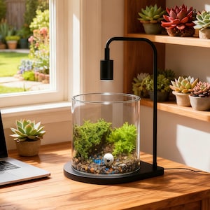 4" live Moss Glass Terrarium | Handmade Closed Ecosystem Jar | Live Moss Mini garden | Including sheep decoration