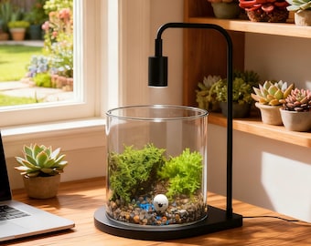 4" live Moss Glass Terrarium | Handmade Closed Ecosystem Jar | Live Moss Mini garden | Including sheep decoration