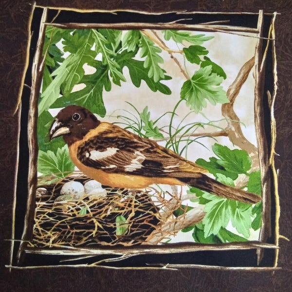 Bird Fabric Panel Squares