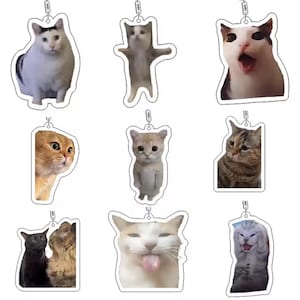Funny Cat Memes Series Keychain Student Gift Bag Lanyard Women&#39;s Bag Pendant Keychain Cute Things Cheap Gift For Best Friends