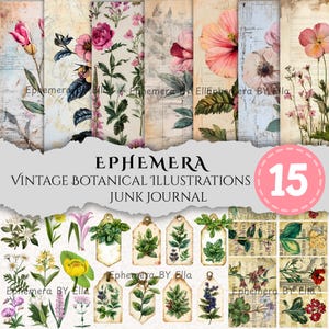 Paquete de ilustraciones botánicas vintage: Láminas de flores antiguas para collage (Descarga en PDF)