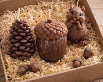 3 piece forest Scented Candle Set, Squirrel, Pine Cone, Acorn Gift Box