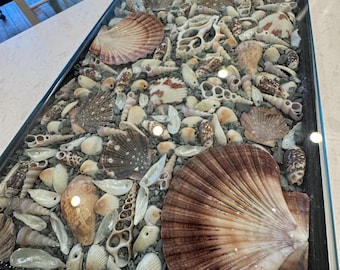 Shell Handmade Serving Tray | Rectangular glass 17x7.5x4”. Unique Artistic Tray