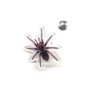 Pode incluir: Um alfinete transparente em forma de estrela com uma ilustração detalhada de uma aranha roxa e marrom. O alfinete tem um verso prateado para fixação. As pernas da aranha são de um tom de roxo mais claro, e o corpo é marrom escuro.