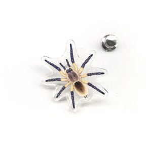 Pode incluir: Um alfinete transparente em forma de estrela com um design detalhado de aranha. A aranha tem um corpo castanho, pernas azul-escuras e abdómen castanho. Uma parte traseira de alfinete prateada é visível ao lado do alfinete decorativo.
