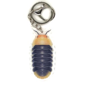 Rubberen eendje isopod-sleutelhanger, Cubaris sp. Badeendje acryl bedel