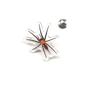 Pode incluir: Um alfinete de acrílico transparente com uma ilustração detalhada de uma aranha com corpo castanho e pernas pretas. O alfinete tem um fecho prateado para fixação. Um acessório único.