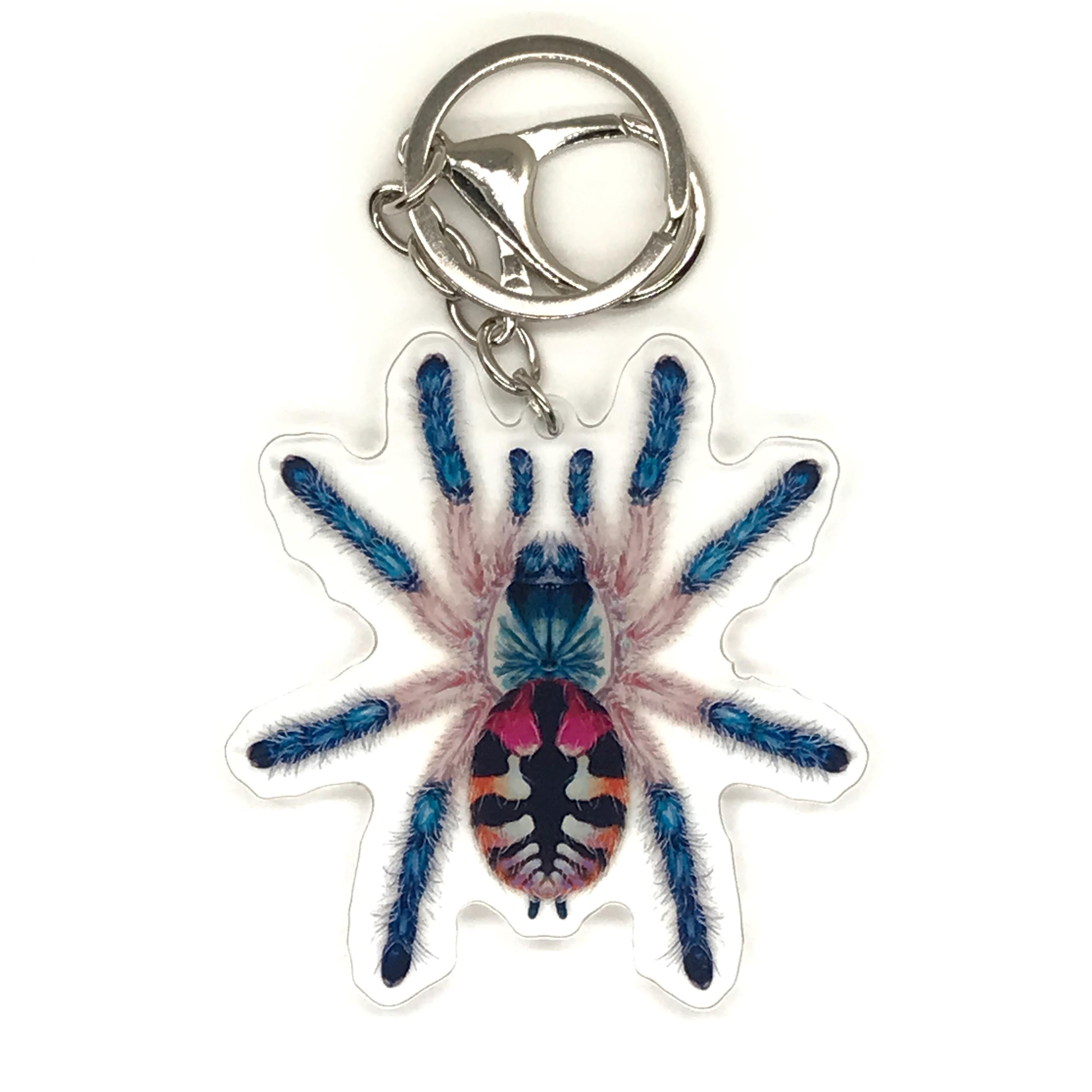Rainbow アパッチ tarantura Brazilian Jewel Tarantula Keychain, Typhochlaena Seladonia Acrylic