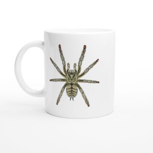 Op de afbeelding: Witte keramische mok met een gedetailleerde illustratie van een spin. De spin is afgebeeld in tinten groen, bruin en beige, met rode accenten op de poten. De mok heeft een gebogen handvat en een glanzende afwerking.