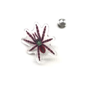 Pode incluir: Um alfinete transparente em forma de estrela com uma ilustração detalhada de uma tarântula. A aranha tem um abdómen vermelho, um cefalotórax verde e pernas roxas escuras. Um pino prateado está ao lado da aranha.