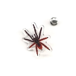 Pode incluir: Um alfinete de acrílico transparente com uma ilustração detalhada de uma aranha tarântula. A aranha tem um corpo e pernas marrons escuros com pelos avermelhados. Um pino prateado está incluído.
