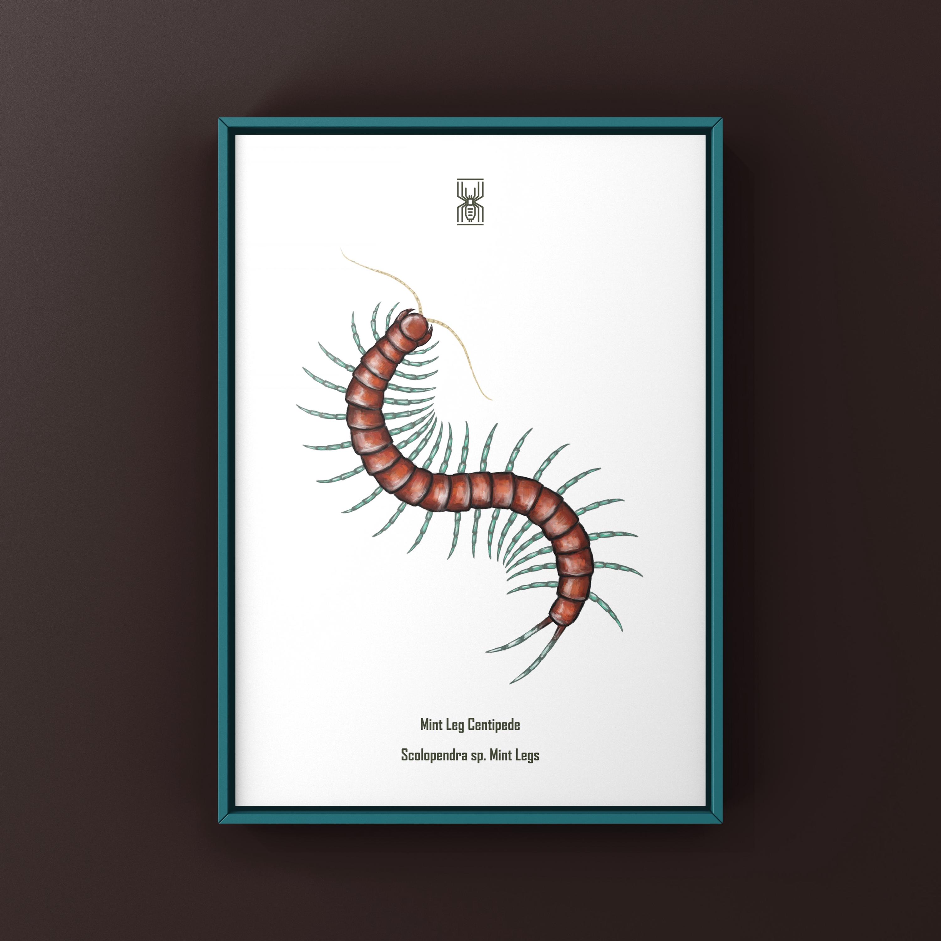 Qué onda con tu reloj? ¿Que no puedes recomendar? 💀 : r/pj_explained, image size:3000x3000