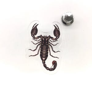 Pode incluir: Um autocolante transparente com uma ilustração detalhada de um escorpião em tons de castanho e preto. O escorpião tem grandes pinças e uma cauda curvada. Ao lado do autocolante está um alfinete prateado.